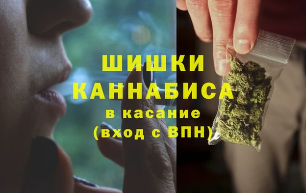 гидропоника Бронницы