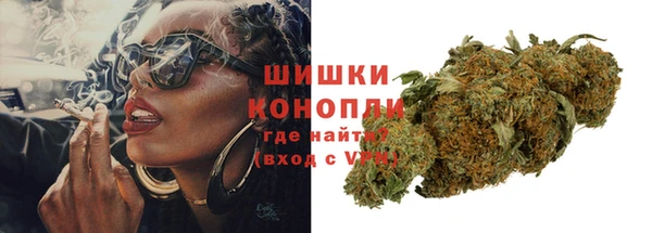 МДПВ Бородино