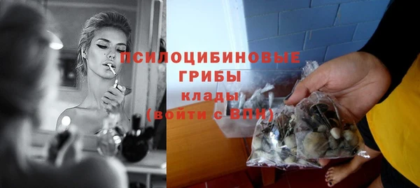 МДПВ Бородино