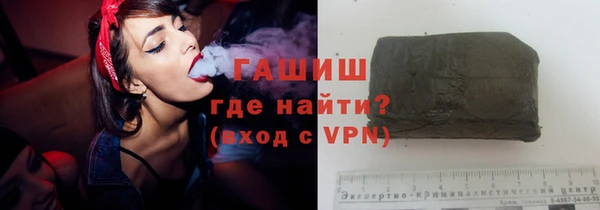 МДПВ Бородино