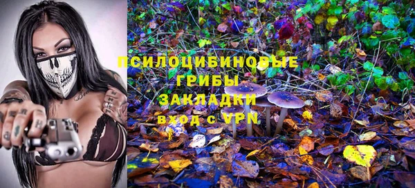 apvp Бугульма