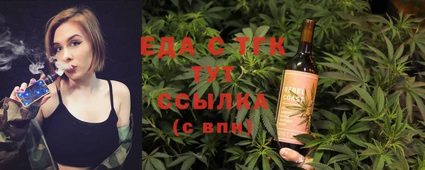 дживик Семилуки