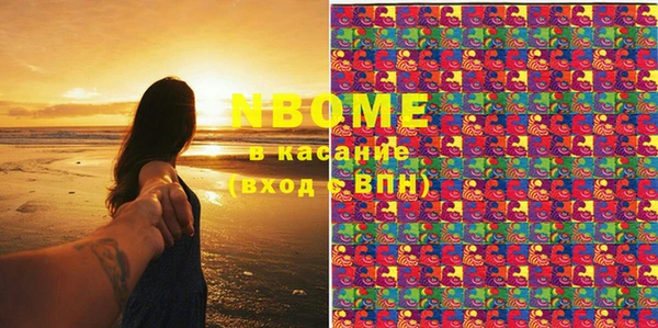 МДПВ Бородино