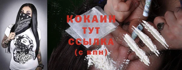 МДПВ Бородино